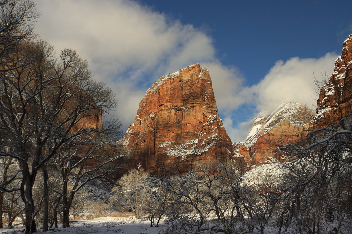 Snow-dusted red rock cliffs with bare trees.